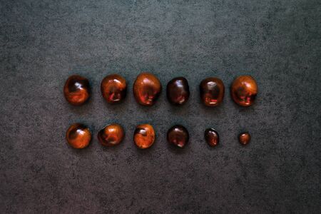 Two rows of chestnuts on the stone background, top view