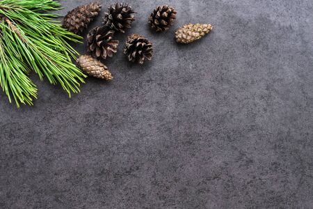 Christmas backround with pine branches and cones