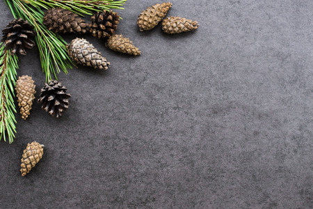 Christmas backround with pine branches and conesの写真素材