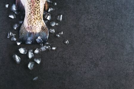 The tail of trout with ice on a dark backgroundの写真素材