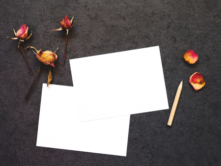 Background with white card and dry flowersの写真素材