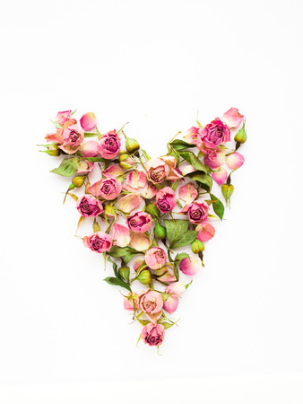 Heart made from dry rouses on whiteの写真素材