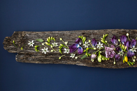 Floral ornament of lowers on rotten wooden plank on blue background. Top view