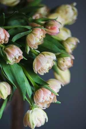 Armful of nude tulips. Verticalの写真素材