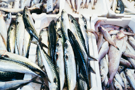 Fresh fish in seafood market.の写真素材
