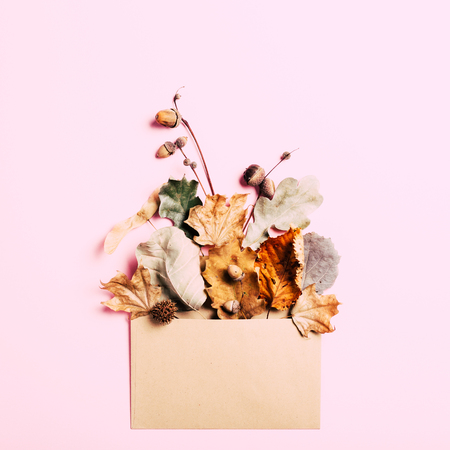 Dry leaves in kraft envelop on pink background. Autumn concept card.の写真素材