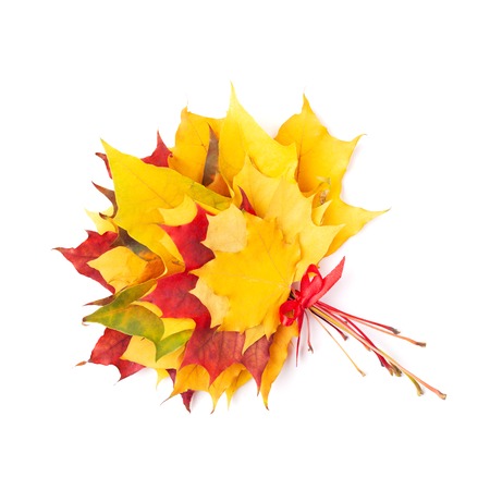 Bouquet of red and yellow maple leaves tied red ribbon. Isolated, top view.の写真素材