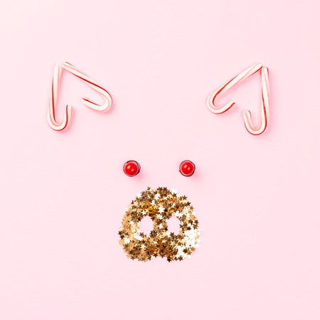 Christmas pig concept made of candy cane lollipops and golden confetti on pink background.の写真素材