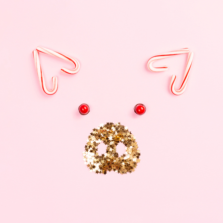Christmas pig face made of candy cane lollipops and golden confetti on pink background. Concept of animal 2019.の写真素材