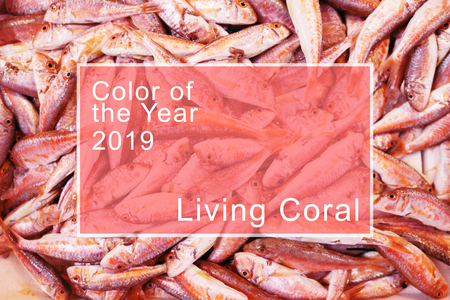 Fresh red snapper fish in basket in seafood market. Toned in living coral color. Color of the year...