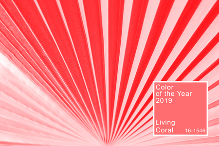 Palm leaf texture toned in Living Coral color. Tropical background. Trendy color of the year 2019.の写真素材