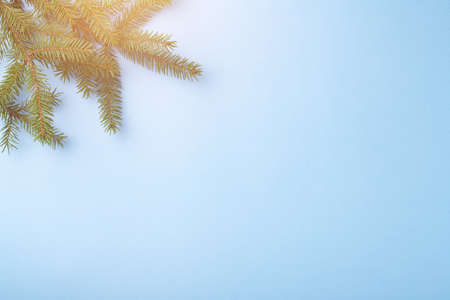 Blue Christmas background with fir branches. Top view with copy space for text.の写真素材