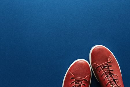 A pair of classic females sneakers on blue background. Woman;s shoes.の写真素材