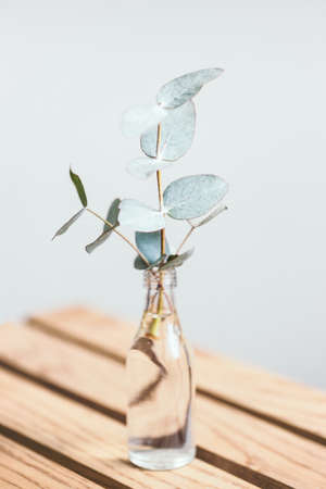 Little glass bottle with branch of eucalyptus on wooden table. Hygge styled decor.の写真素材
