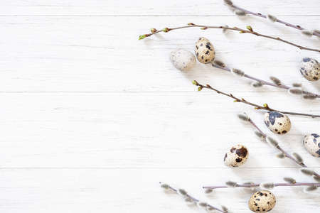 Easter background with willow twigs and quail eggs.の写真素材