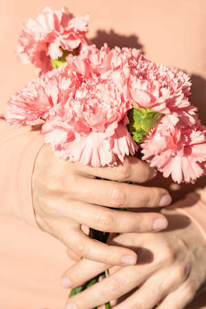 Womans hands holding a bouquet of pink carnations.の写真素材