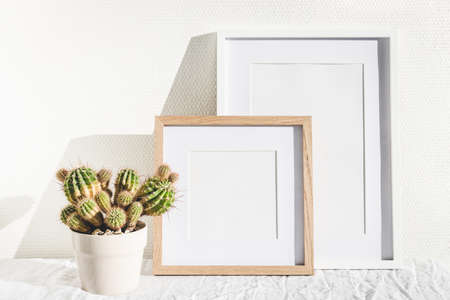 Two wooden frames and cactus on white table.の写真素材