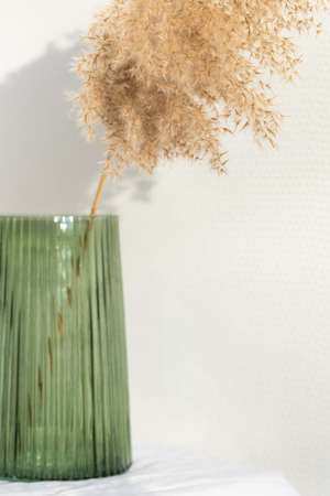 Dried reed in green vase on white background.