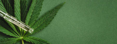 Green banner with pipette with cannabis extract.の写真素材