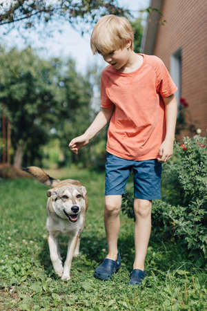 Boy playing with dog in garden.の写真素材
