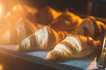 Croissants baking in the oven.の写真素材