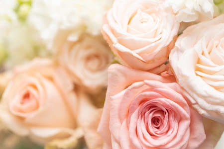 Close up of creamy color roses in bouquet.の写真素材