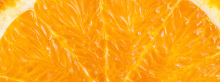 Close up of orange in section. Natural background.