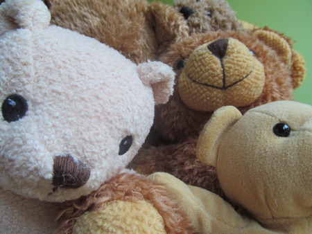 Teddy Bear Selfie IIIの写真素材