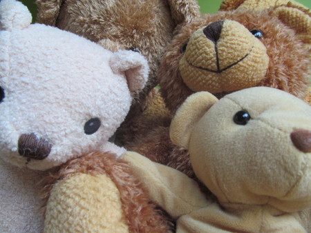 teddy bear selfie Vの写真素材