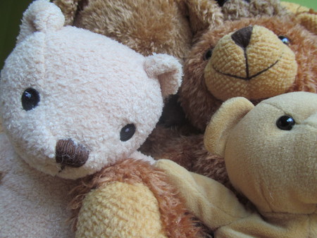 Teddy Bear Selfie IVの写真素材