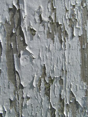 Peeling paint IVの写真素材