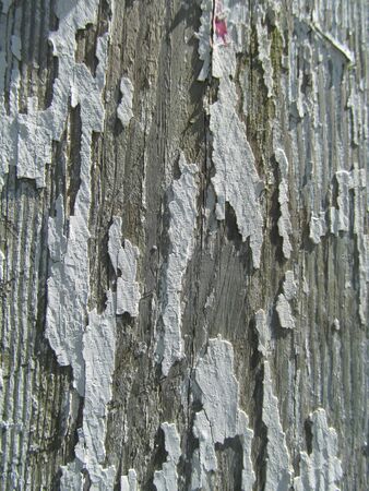 Peeling Paintwork VIIの写真素材