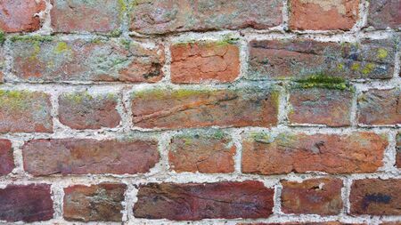 Brickwallの写真素材