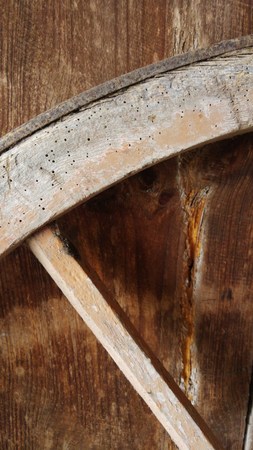 Cartwheelの写真素材