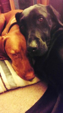 Best Friendsの写真素材