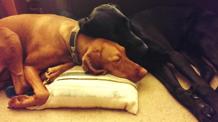 Best Friendsの写真素材