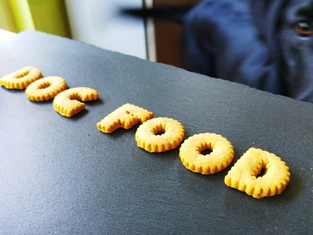 Dog Foodの写真素材