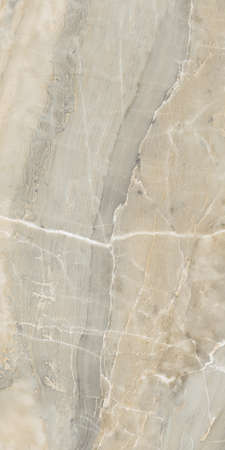 natural marble design with natural veins stone textureの写真素材