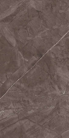 brown color Avante nero marble design with polished finish natural texture and veinsの写真素材