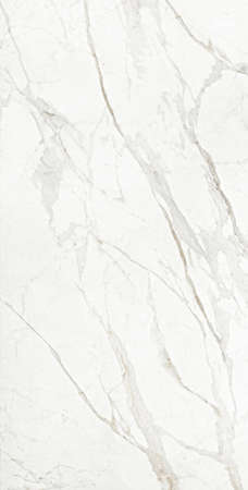 Statuario Platina marble design with polished finish natural texture and veinsの写真素材