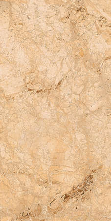 BRESSIA CLASSICO marble design with polish finish natural stone texture high resolution tiles design imageの写真素材