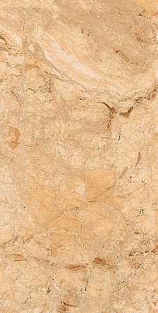 BRESSIA CLASSICO marble design with polish finish natural stone texture high resolution tiles design imageの写真素材