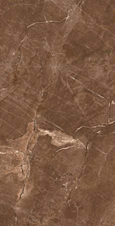 dark brown color polished finish with lite color veins natural stone textureの写真素材