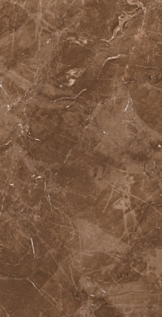 dark brown color polished finish with lite color veins natural stone textureの写真素材