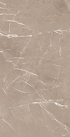 brown marble with white uneven veins polished finish high resolution imageの写真素材