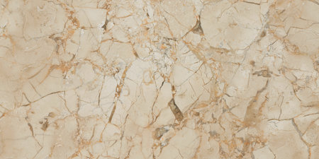 brown color natural marble design with polished finish dark texture and veinsの写真素材