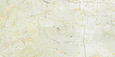 off white color natural marble design with polished finish with golden veinsの写真素材