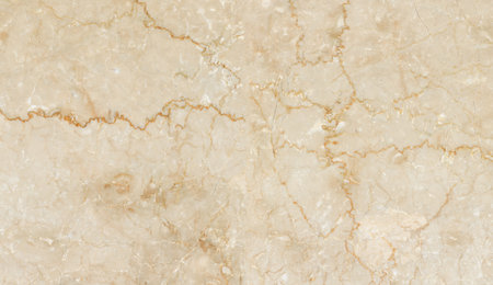 brown color polished marble design with dark veins high resolution imageの写真素材