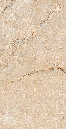 beige color stone design with natural marble texture and veins use for tiles designの写真素材