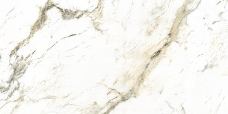 white color polished marble design with dark natural veins original marble texture design high resolution imageの写真素材